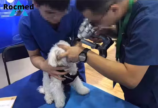Veterinary Equipment China Ophthalmology Digital Slit Lamp Ophthalmic Portable Slit Lamp for Vet